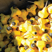 Seismic data thumb 3